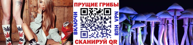 Галлюциногенные грибы Psilocybine cubensis  Ядрин 